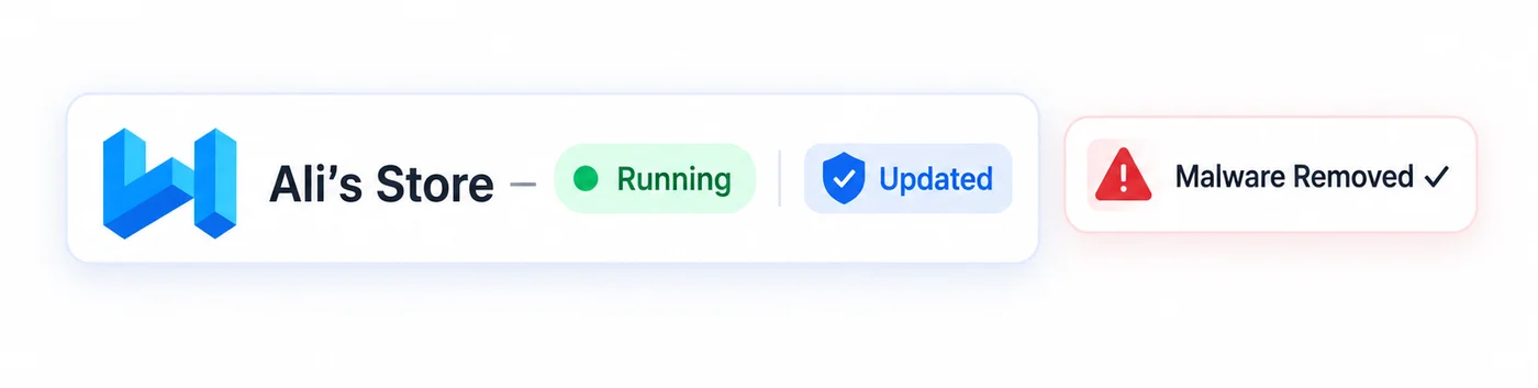 Store dashboard showing the site running, updated and a malware warning removed